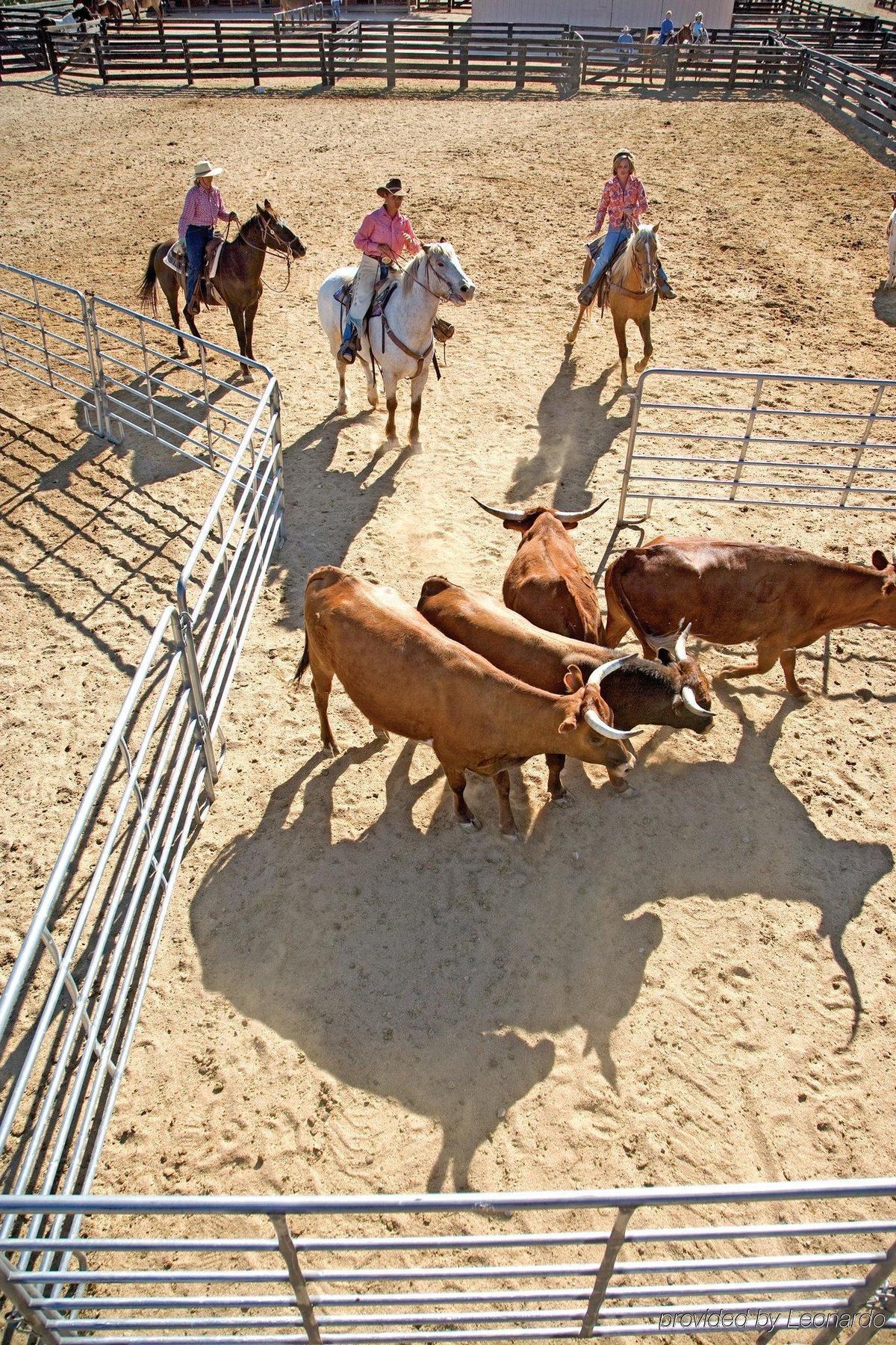 Rancho De Los Caballeros Wickenburg Bagian luar foto