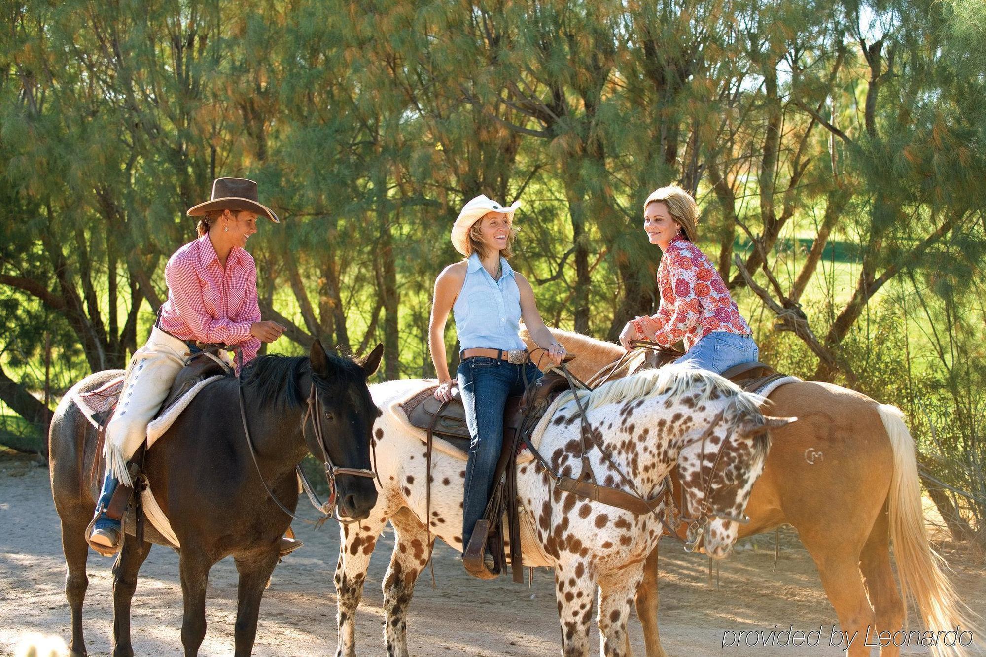 Rancho De Los Caballeros Wickenburg Bagian luar foto
