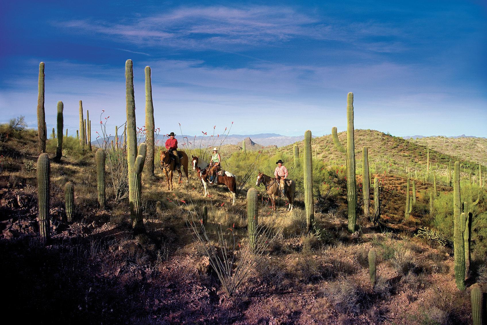 Rancho De Los Caballeros Wickenburg Bagian luar foto